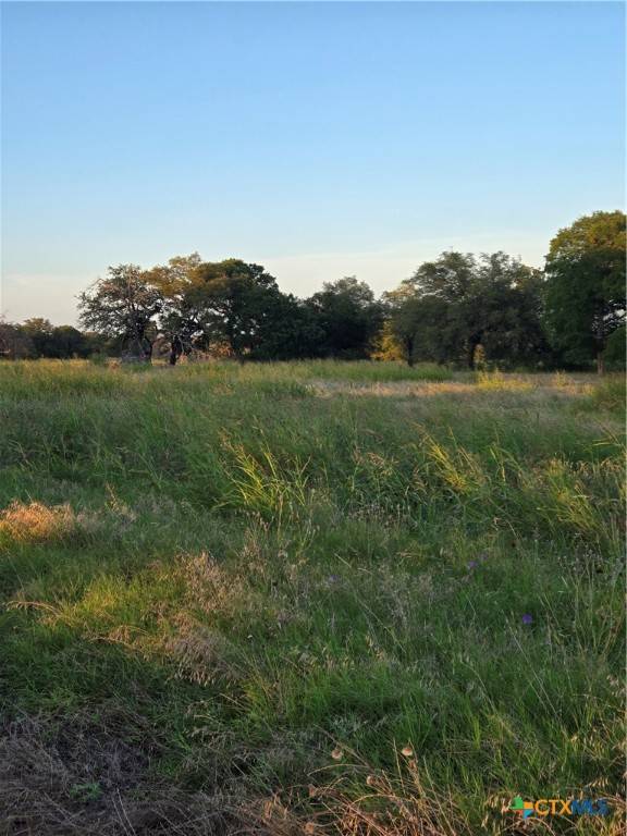Oglesby, TX 76561,454 Grand Canyon DR