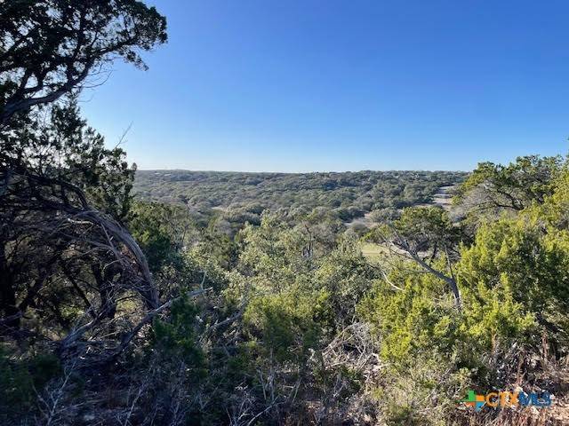 Spring Branch, TX 78070,580 Mystic Pkwy