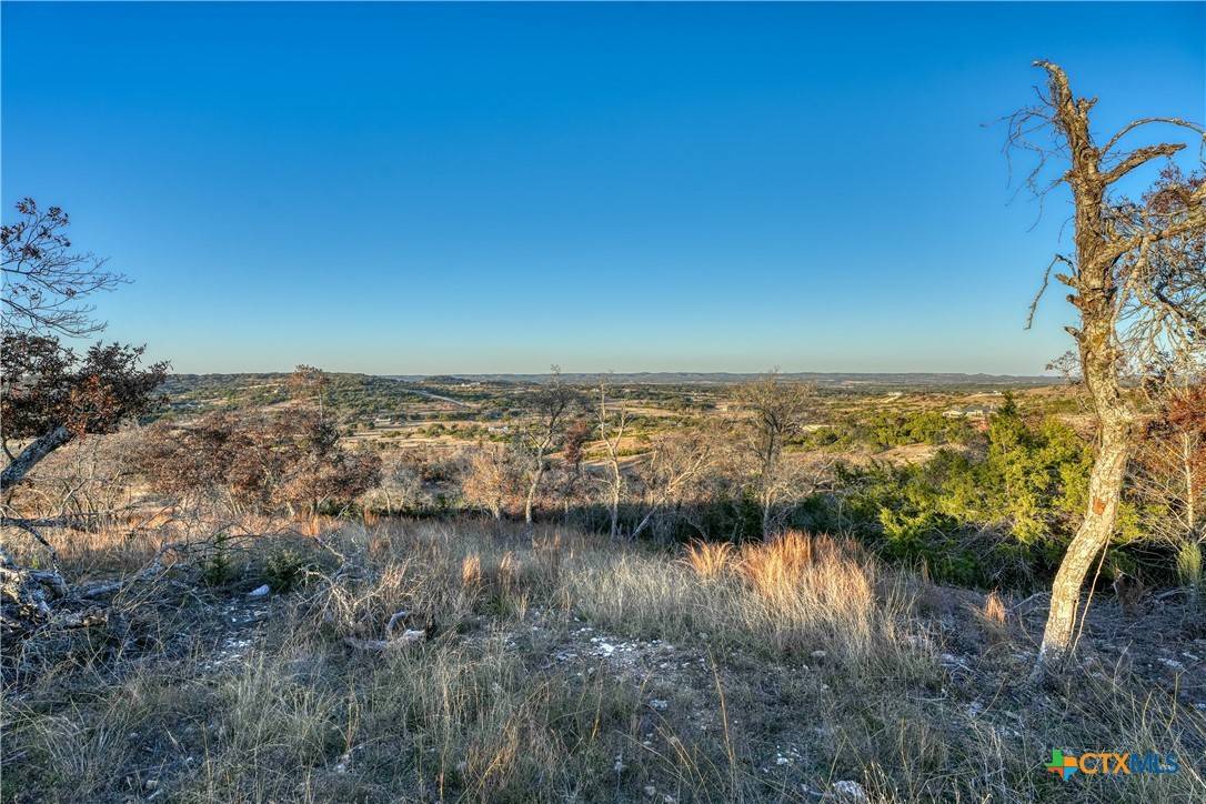 Blanco, TX 78606,TBD Falling Oak DR