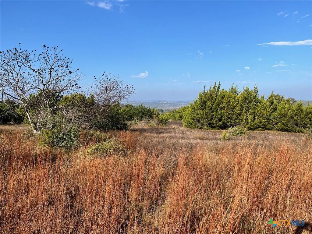 Johnson City, TX 78636,Lot 7 W Flying Owl Dr