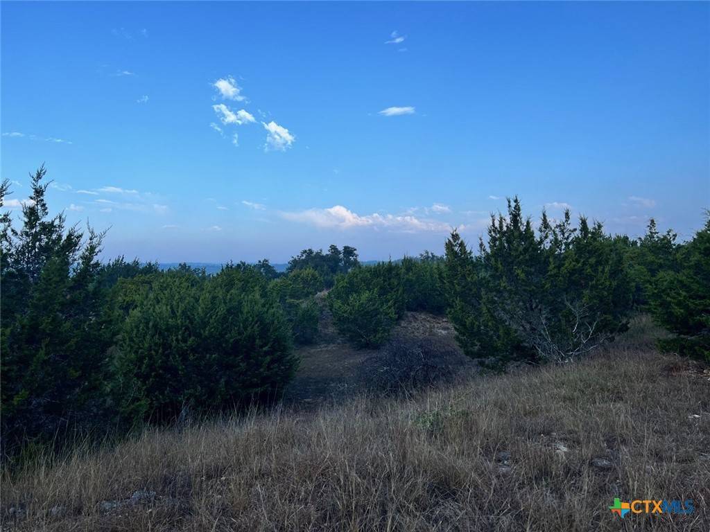 Johnson City, TX 78636,Lot 7 W Flying Owl Dr