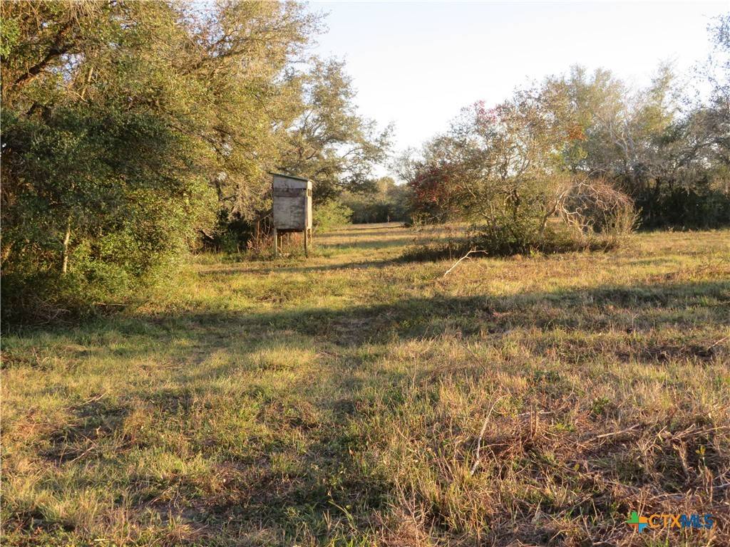 Francitas, TX 77971,0 FM 616