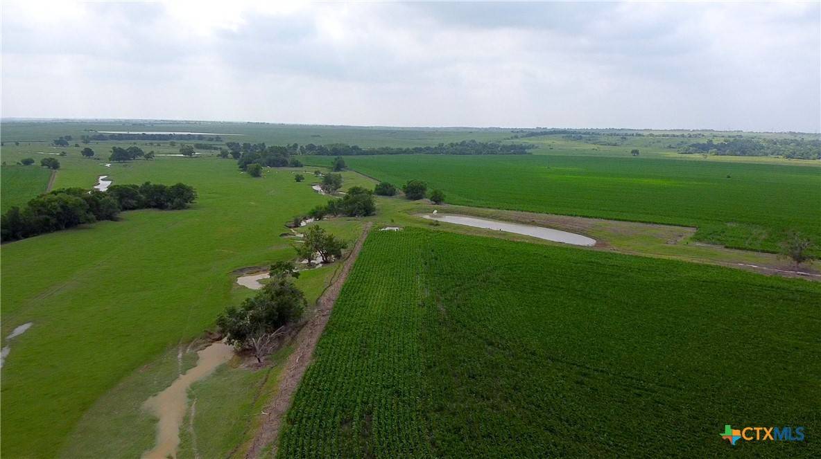 Rogers, TX 76569,8901 Fm 437