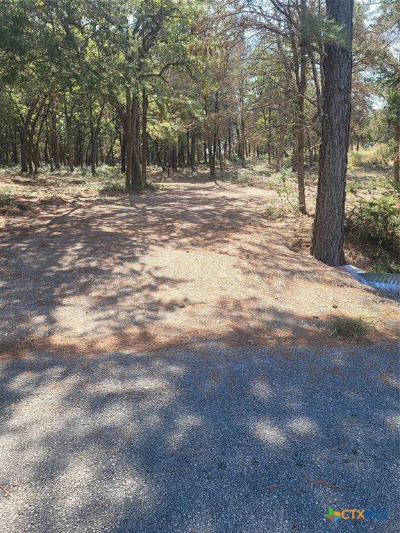 Mcdade, TX 78650,Lot 1 Marlin Ln. County Rd 142 Rd