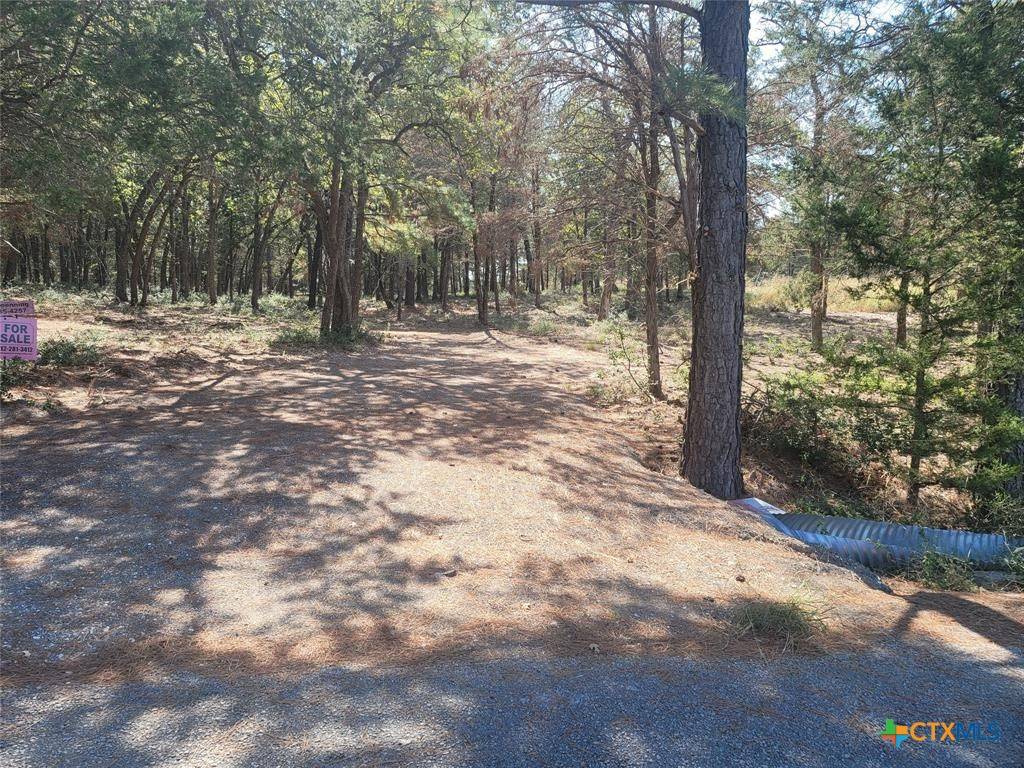 Mcdade, TX 78650,Lot 1 Marlin Ln. County Rd 142 Rd