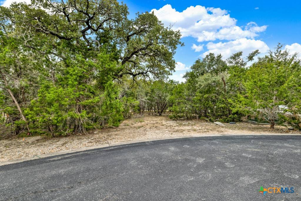 Canyon Lake, TX 78133,116 Single Tree CT