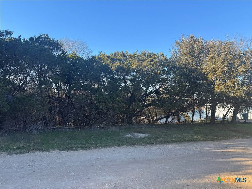 Temple, TX 76502,5988 Buggy Ride RD