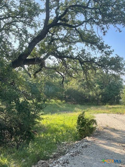 Canyon Lake, TX 78133,1449 Lavaca