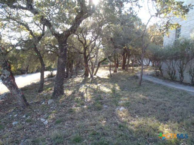 Wimberley, TX 78676,20 Whistling Wind LN