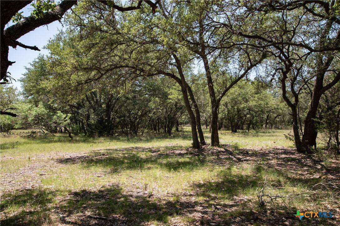 Lampasas, TX 76550,TBD Lot 82 Shin Oak DR