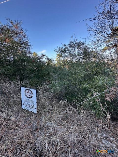 Bastrop, TX 78602,0 TBD Kula Ct