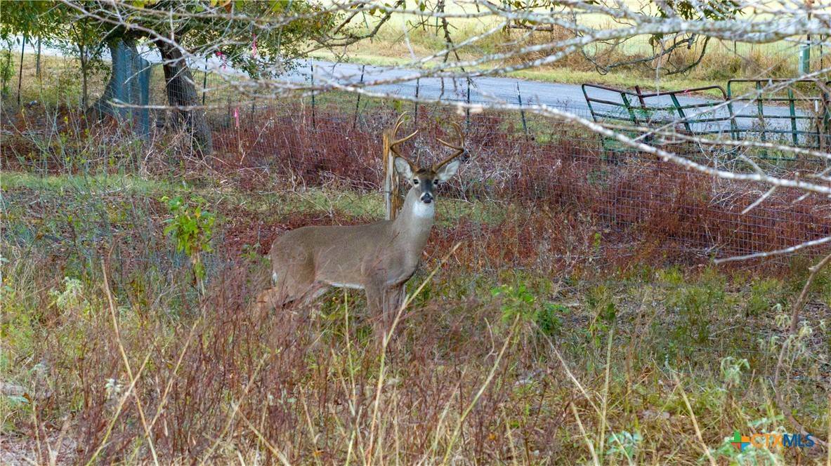 Kingsbury, TX 78638,1900 Appling RD