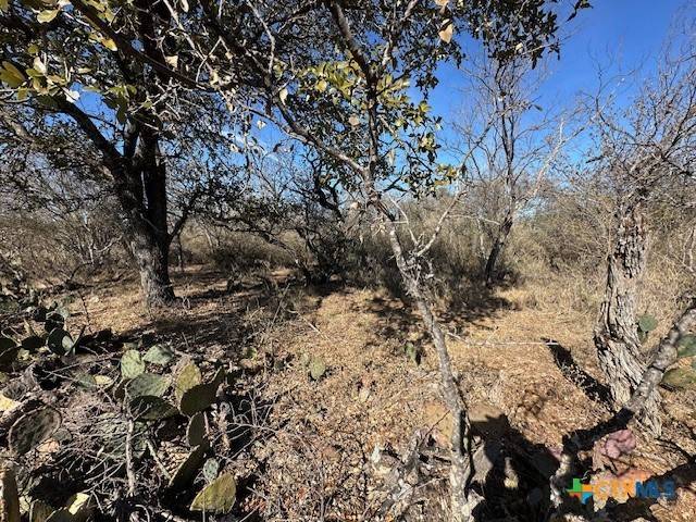 Granite Shoals, TX 78654,0 TBD Cedar DR