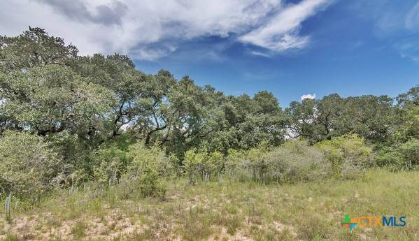 Edna, TX 77957,Tract 10 PR 4061