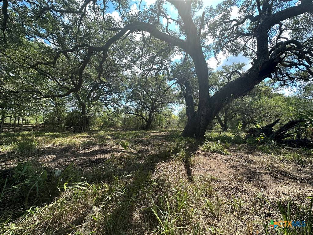 Cuero, TX 77954,0 Concrete Edgar Rd