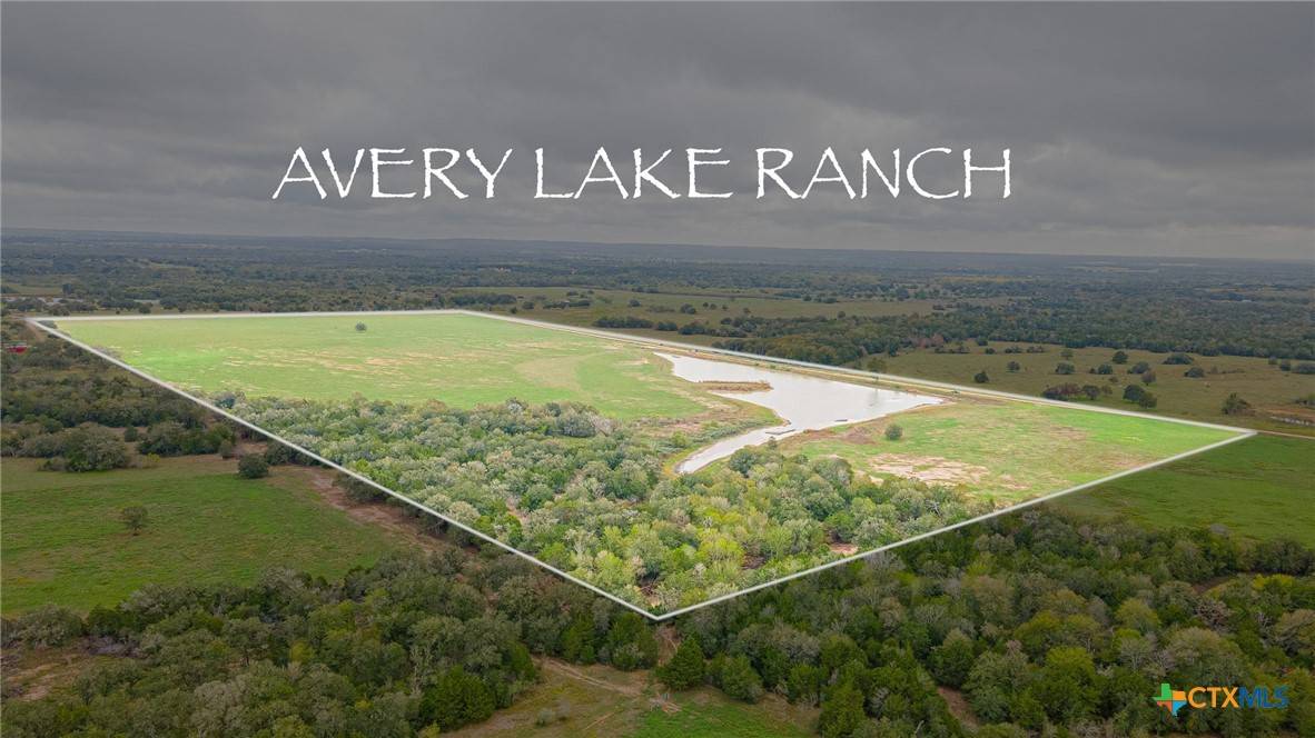 Flatonia, TX 78959,TBD Armstrong Derry Rd