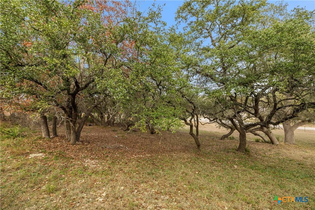 Canyon Lake, TX 78133,1220 Lavaca