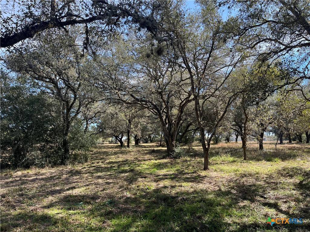 Victoria, TX 77905,TBD John Wayne Trail