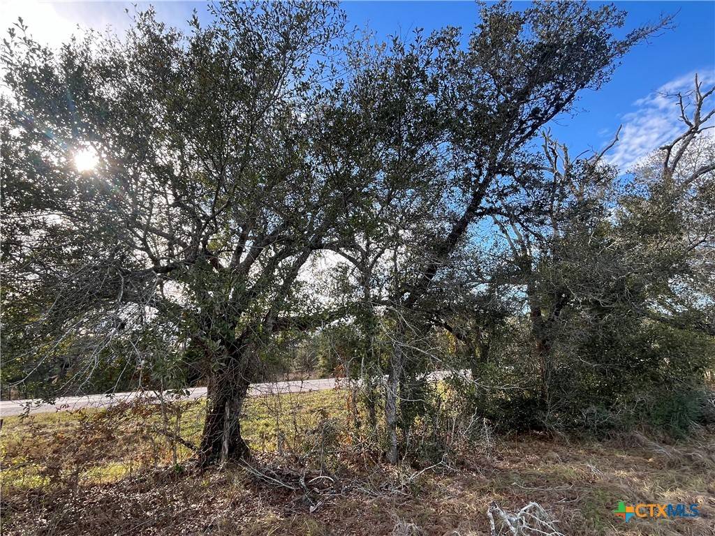 Edna, TX 77957,TBD State Hwy 111 RD