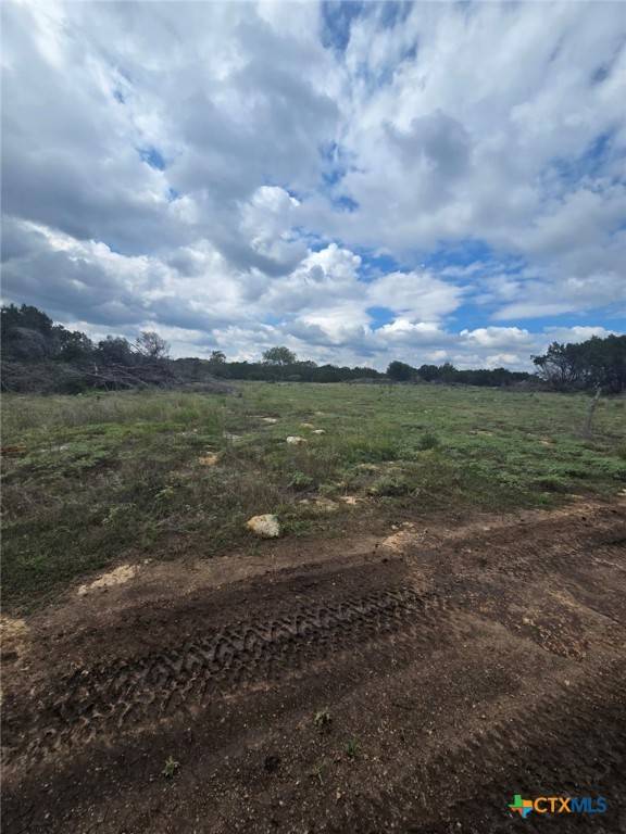 Burnet, TX 78611,4950 County Road 110