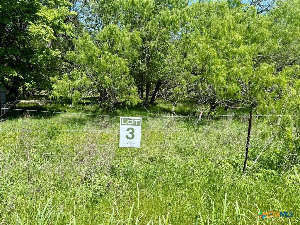 Lockhart, TX 78644,TBD Acorn Rd #3