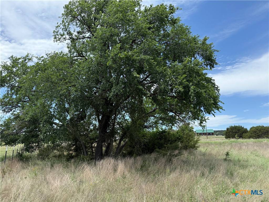 Kempner, TX 76539,2665 County Road 3270