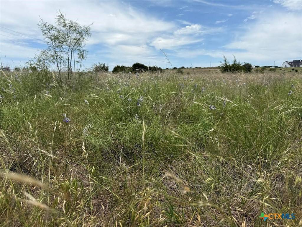 Kempner, TX 76539,2665 County Road 3270
