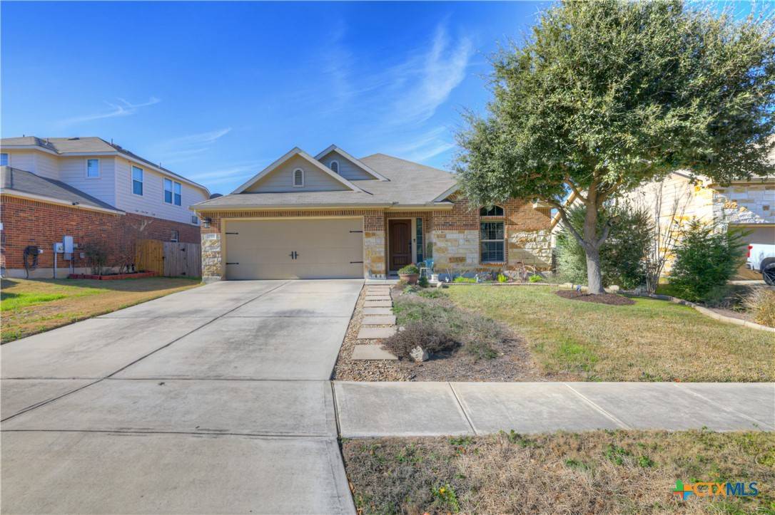 New Braunfels, TX 78132,359 Cylamen