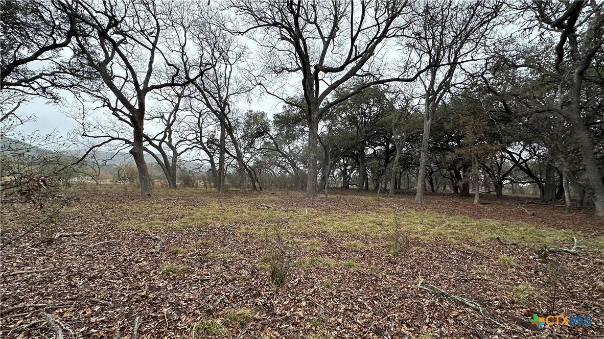 Concan, TX 78838,Lot 21 Camino Del Rancho