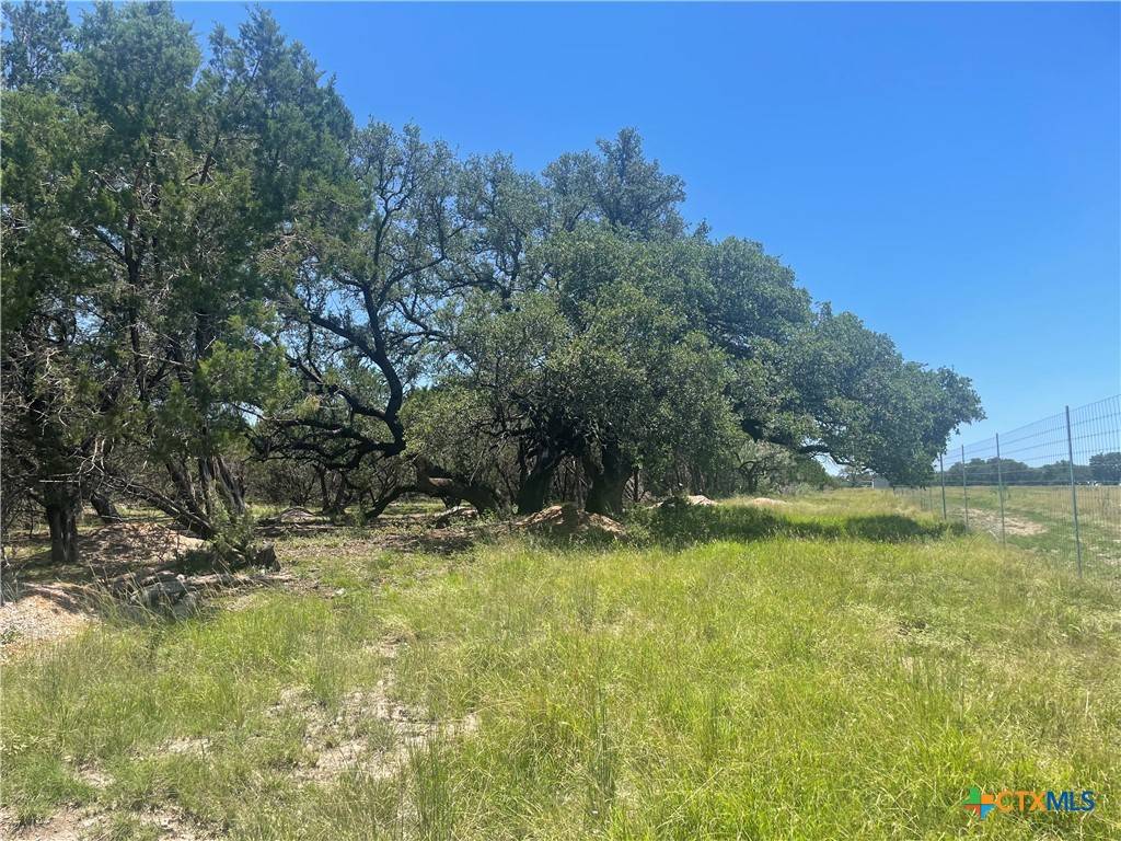 Lampasas, TX 76550,Lot 65 Estate View Circle