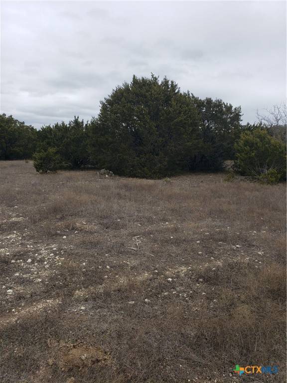 Lampasas, TX 76550,Lot 65 Estate View Circle
