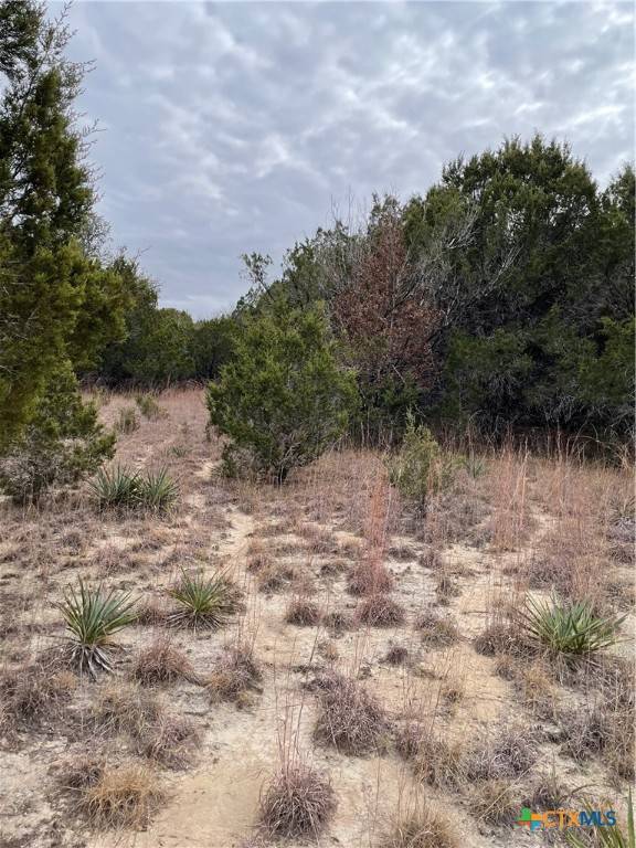 Kempner, TX 76550,TBD County Road 3062
