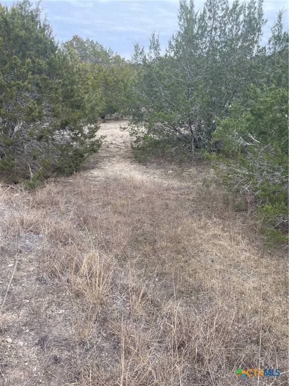 Kempner, TX 76550,TBD County Road 3062