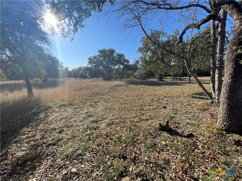 Wimberley, TX 78676,TBD Green Acres LN