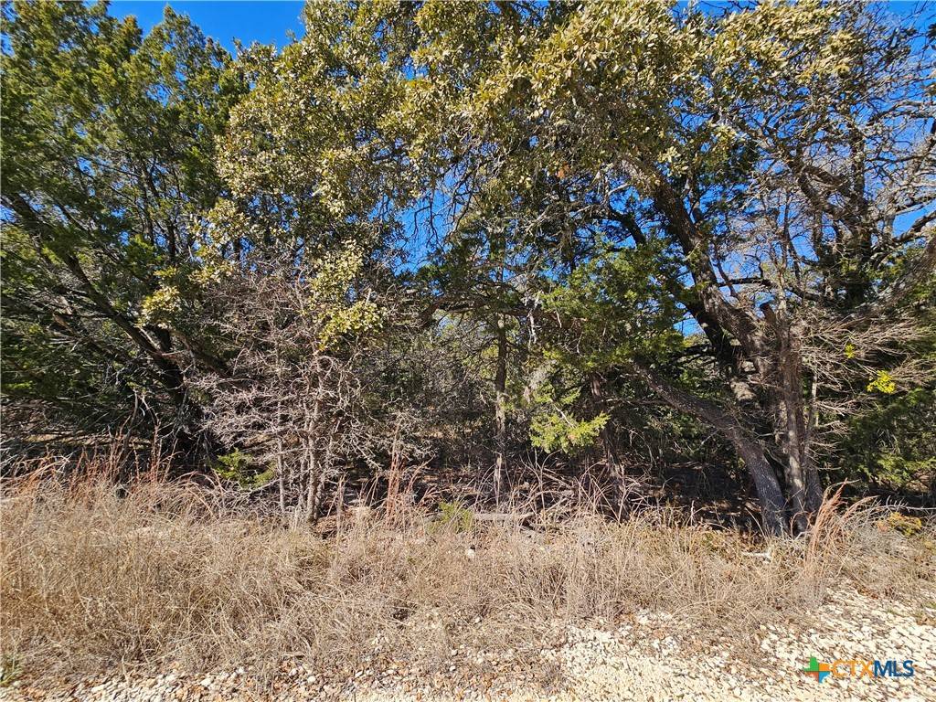 Evant, TX 76525,TBD County Road 3831
