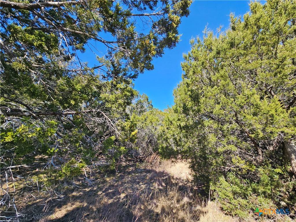 Evant, TX 76525,TBD County Road 3831