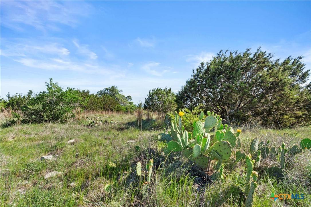 Bertram, TX 78605,TBD Indian Sky CT