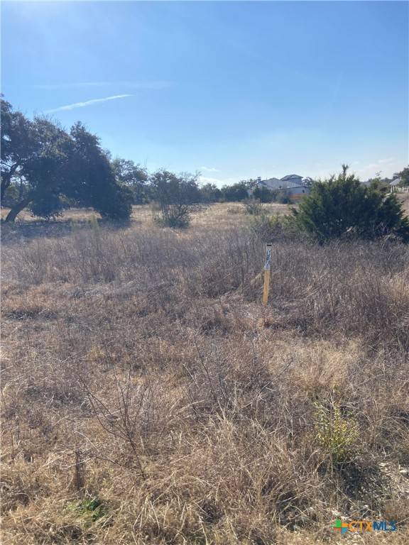 Bulverde, TX 78163,713 Fossil Springs DR