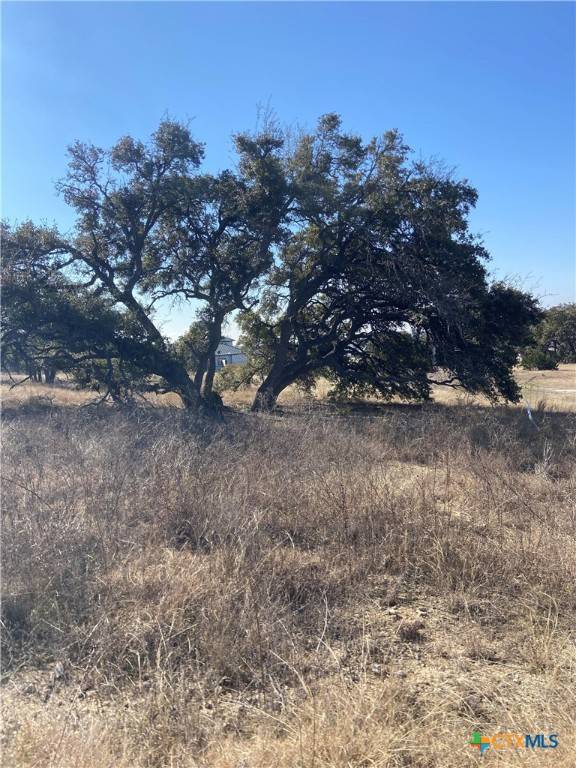 Bulverde, TX 78163,713 Fossil Springs DR