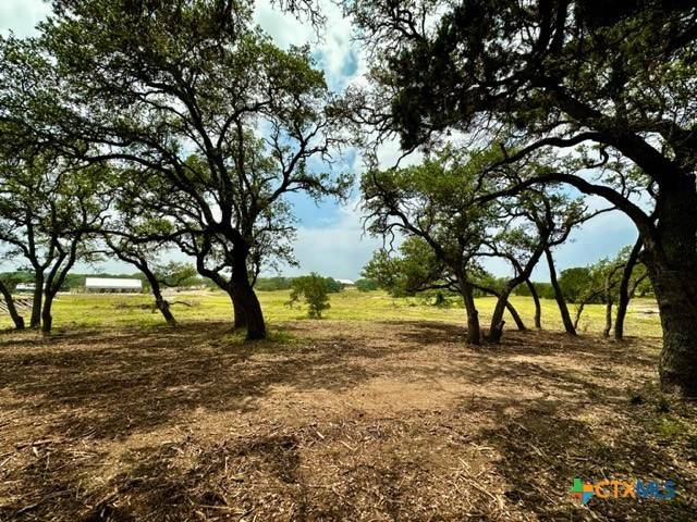 Bulverde, TX 78163,34741 Carries Crk