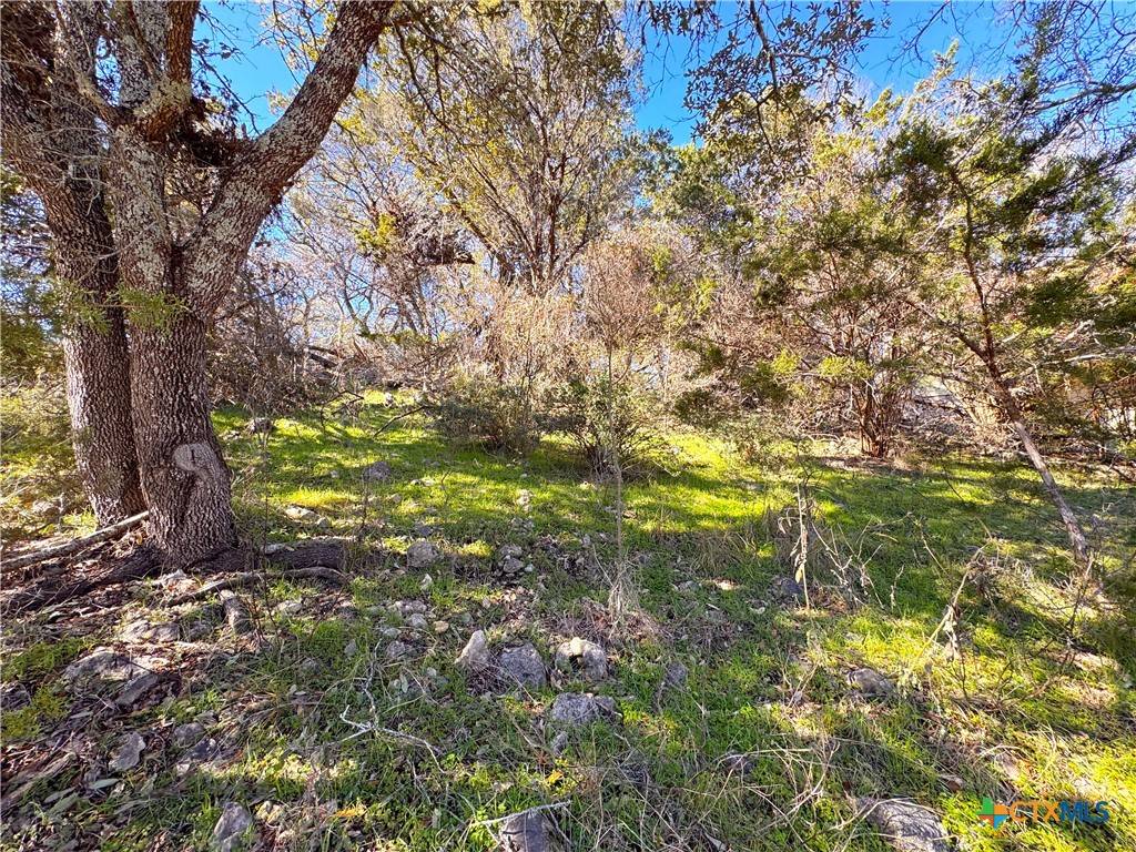 Spring Branch, TX 78070,3020 Tanglewood TRL