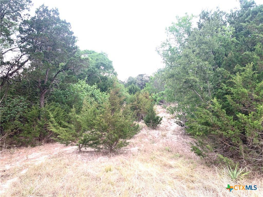 Florence, TX 76527,0 Firefly RD