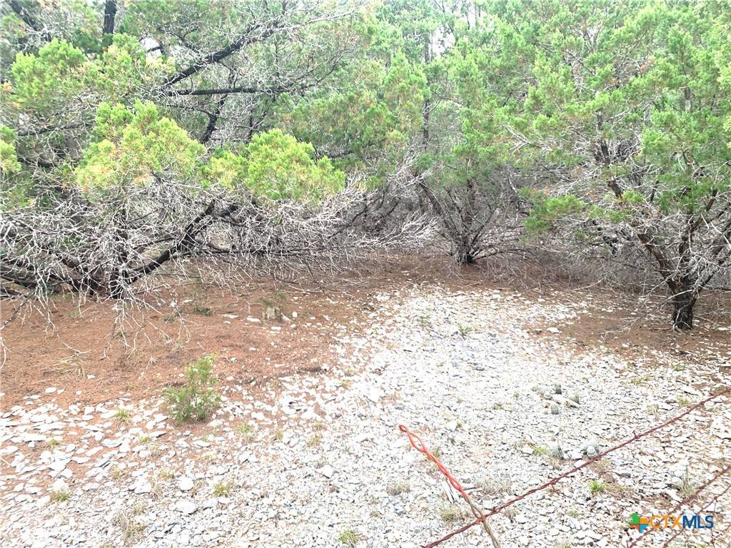 Florence, TX 76527,0 Firefly RD