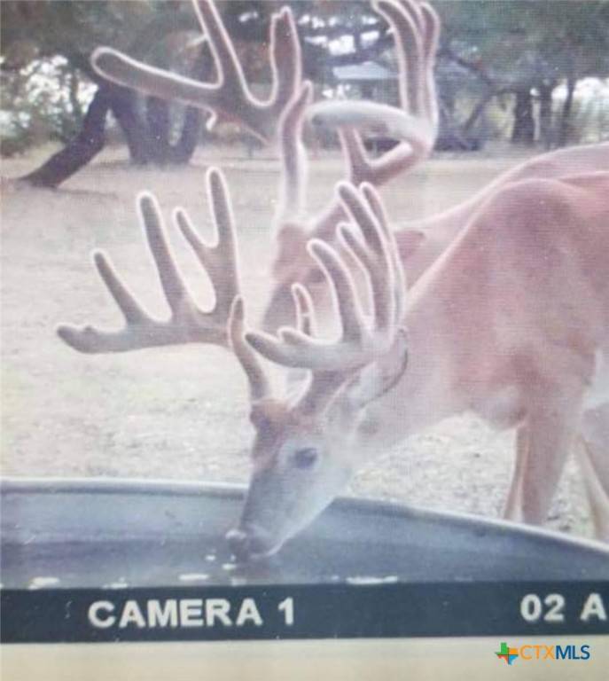 Gatesville, TX 76528,400 Indian Hills RD