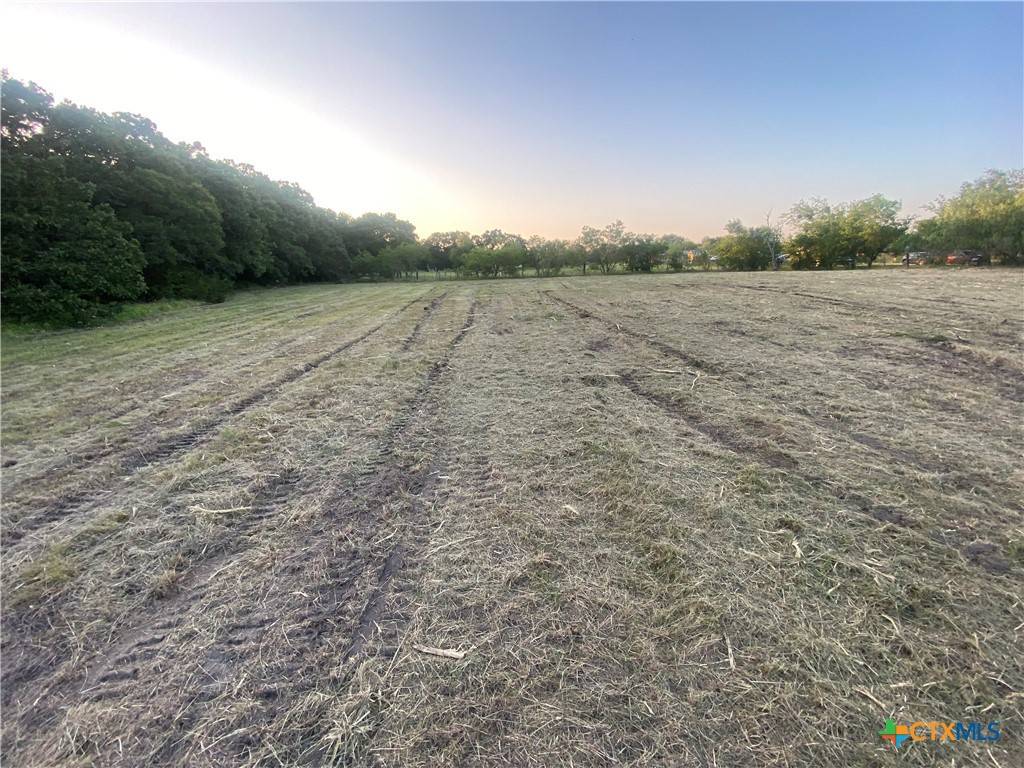 Riesel, TX 76682,001 Beaver RD