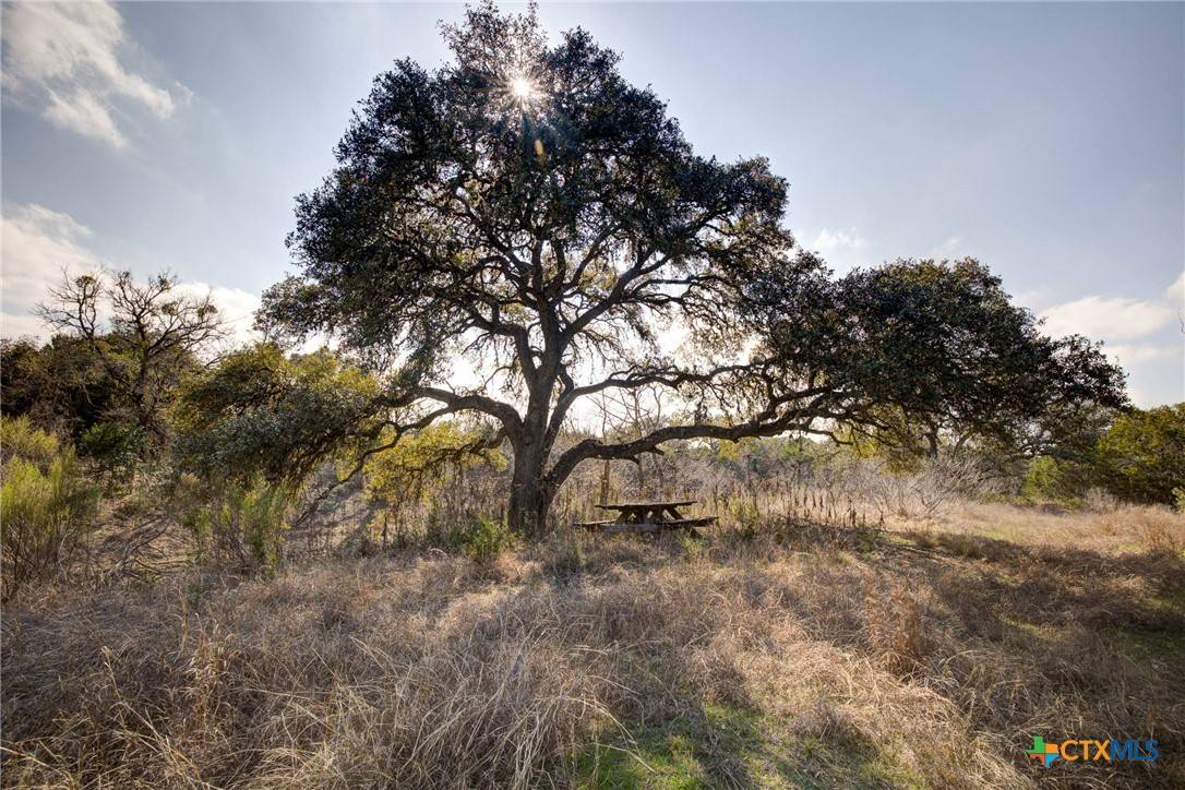 New Braunfels, TX 78132,1463 Whispering Woods TRL