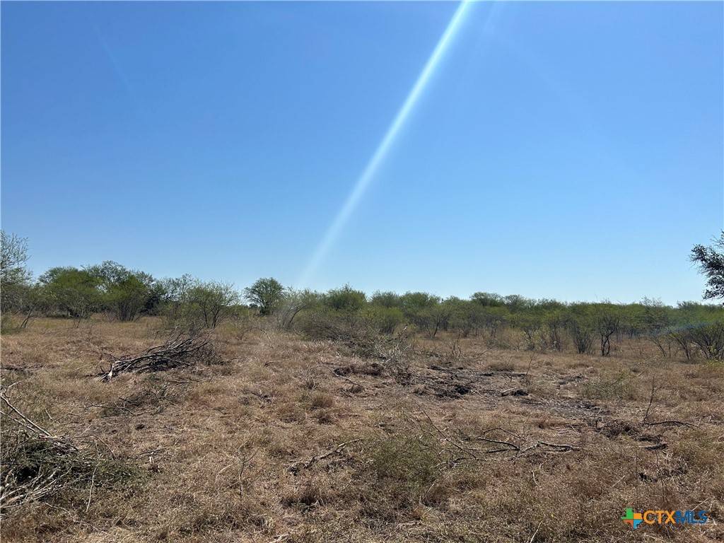Cuero, TX 77954,TBD Brown RD