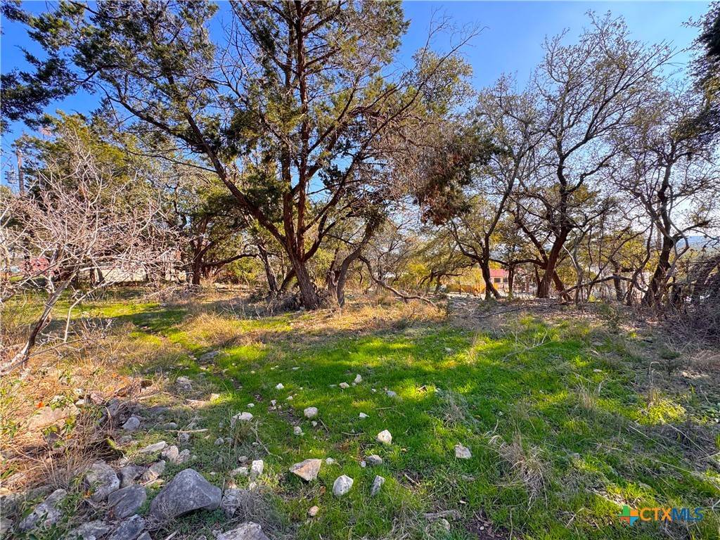 Canyon Lake, TX 78133,0 TBD Westview DR