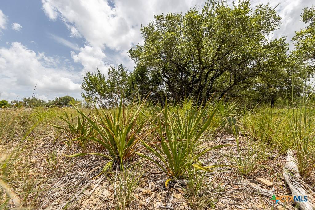 Canyon Lake, TX 78133,162 Scarlet Court CT