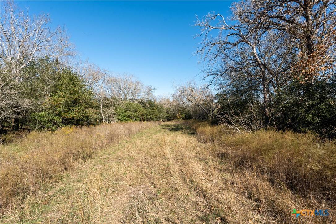 Gonzales, TX 78629,000 County Road 284